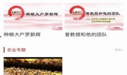 兴宁新闻最新爆料视频大全,视频大全揭秘热点事件