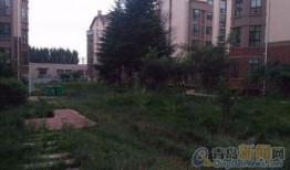 长春房产最新事件爆料新闻,揭秘神秘爆料背后的真相