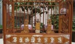 花鸟笼在线观看,在线观赏自然之美