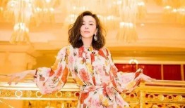 爆料王琳的婚姻史视频全集,婚姻史视频全集深度解析