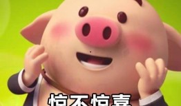 娱乐爆料猪头表情包图片,娱乐爆料界的“萌宠”新宠儿