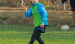 橄榄球刘凯爆料视频播放,揭秘赛场背后故事