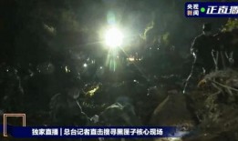 最新黑匣子爆料,事故真相再引热议