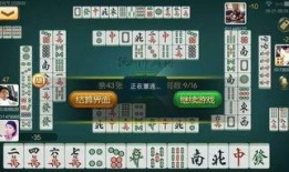 麻将配料爆料视频播放下载,视频播放下载背后的秘密解析