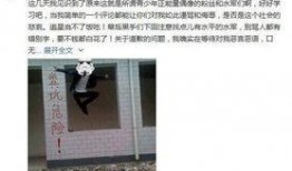 宋先生爆料最新消息视频,最新消息视频深度解析