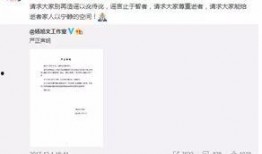 崇阳最新爆料事件视频大全,视频大全揭秘惊人真相