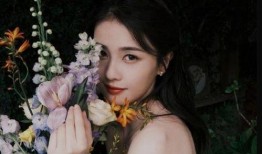 娱乐圈小黑爆料白鹿小说,白鹿小说背后的真相揭秘