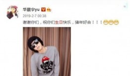 网络爆料华晨宇视频播放,音乐与视觉的完美融合