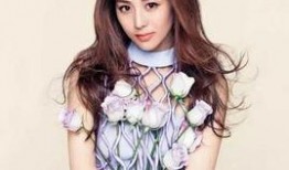 娱乐大爆料陈萌简介视频,娱乐大爆料背后的神秘人物