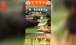 吃瓜搞怪配音视频大全免费,吃瓜搞怪视频大全免费来袭！