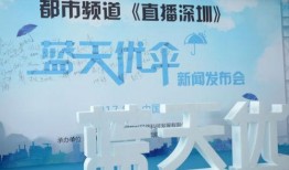深圳都市频道在线观看,精彩内容实时呈现