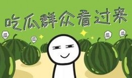 全家带凳子吃瓜免费观看,共享夏日清凉时光