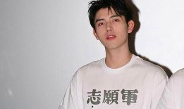 陈飞宇爆料魏晨视频是真的吗,陈飞宇爆料魏晨视频真实性揭秘