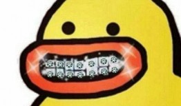 娱乐爆料猪头表情包图片,娱乐爆料界的“萌宠”新宠儿