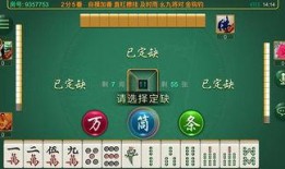 麻将配料爆料视频播放下载,视频播放下载背后的秘密解析
