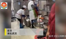 食品学院爆料视频,独家爆料视频带你探秘食品学院内部