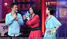 爆料王琳的婚姻史视频全集,婚姻史视频全集深度解析