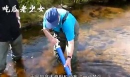 娱乐吃瓜老少女,吃瓜群众眼中的老少女神风采