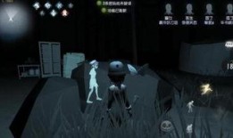 第五人格bug最新爆料,揭秘游戏漏洞与修复进展