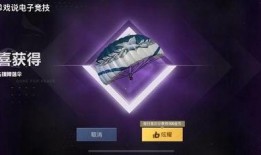 和平精英ss16最新军需爆料,和平精英新军需爆料，神秘装备引期待