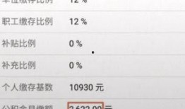 真实工资爆料视频