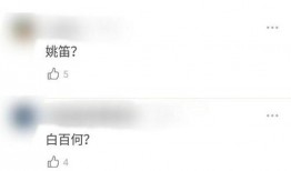 圈内爆料动漫免费观看,圈内爆料，海量动漫免费观看的秘密通道