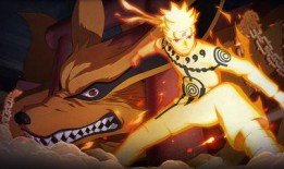 帕克爆料九尾视频大全集,九尾视频大全集深度解析