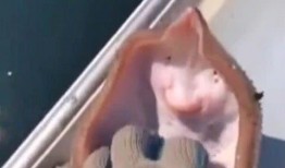 有网友视频爆料一外国,神秘现象引发热议