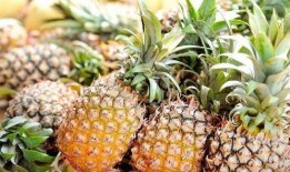 泰国小菠萝爆料视频,揭秘幕后故事与精彩瞬间