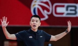 记者爆料杨鸣视频大全最新,记者爆料揭示篮球明星幕后故事