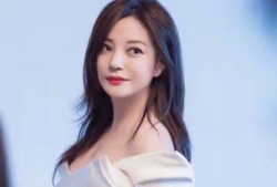 爆料赵薇最新消息,揭秘娱乐圈女神的蜕变之路