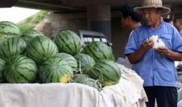 龙州网红吃瓜事件,揭秘网络舆论的风暴与真相