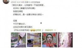 娱乐圈爆料限流,揭秘明星幕后真相，流量时代下的生存法则