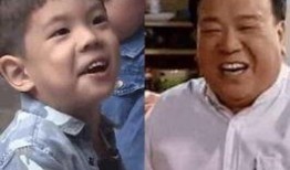 杜江爆料名字大全最新,名字大全背后的故事与启示