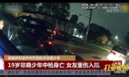 美国警察爆料视频大全下载,真实执法现场大盘点
