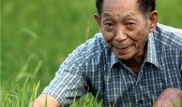 袁隆平在线观看,杂交水稻之父的智慧传承与在线观看之旅