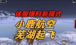 体服最新爆料,全新内容与玩法大曝光！