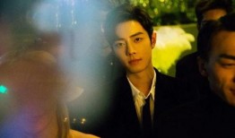 肖战小鹿茶最新爆料,神秘新品即将亮相，粉丝翘首以盼！