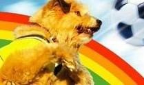 足坛神犬 在线观看,传奇犬只的足球传奇之旅