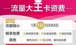 大王爆料视频下载免费,免费下载视频背后的秘密