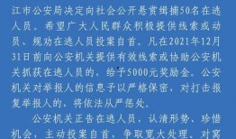 湛江市今日关注爆料公告,今日关注爆料，热点事件追踪