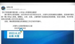 小伟哥的爆料视频大全集,揭秘幕后真相与精彩瞬间