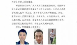 公安爆料伤人案件最新,公安披露最新伤人案件详情，案情令人震惊