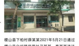 山西农村信用社最新爆料,揭秘农村金融改革新动向