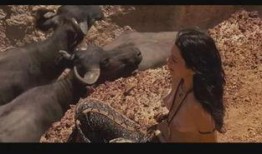 在线观看伦理三级古代,揭秘古代伦理与三级观影的冲突与融合