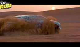 最新沙漠爆料视频播放下载,揭秘最新爆料视频的下载与播放攻略